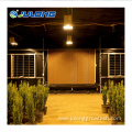 Fully Automatic Arch medical growing Greenhouse